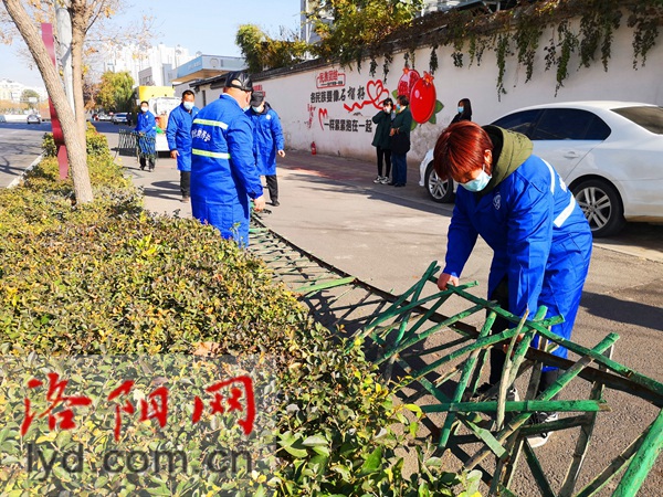 洛阳拆除绿化带老旧护栏 让市民享受更多“绿色福利”